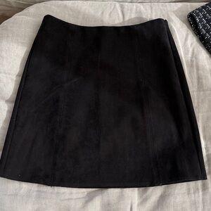Aritzia Black Mini Skirt with Panel Seams